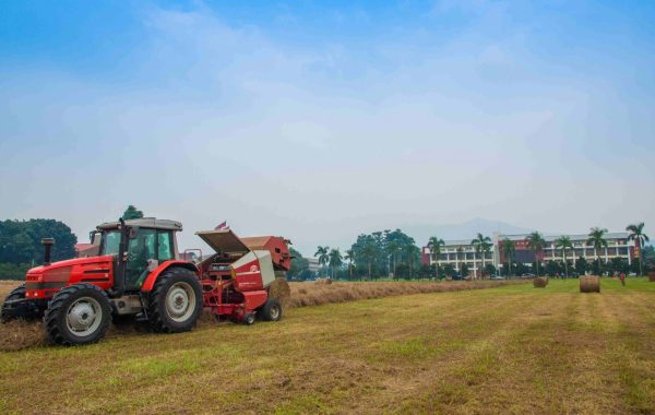 屏東科大牧場牧草捲製作 屏東科大牧場牧草捲製作